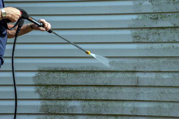 Best House Pressure Washing  in Industry, PA